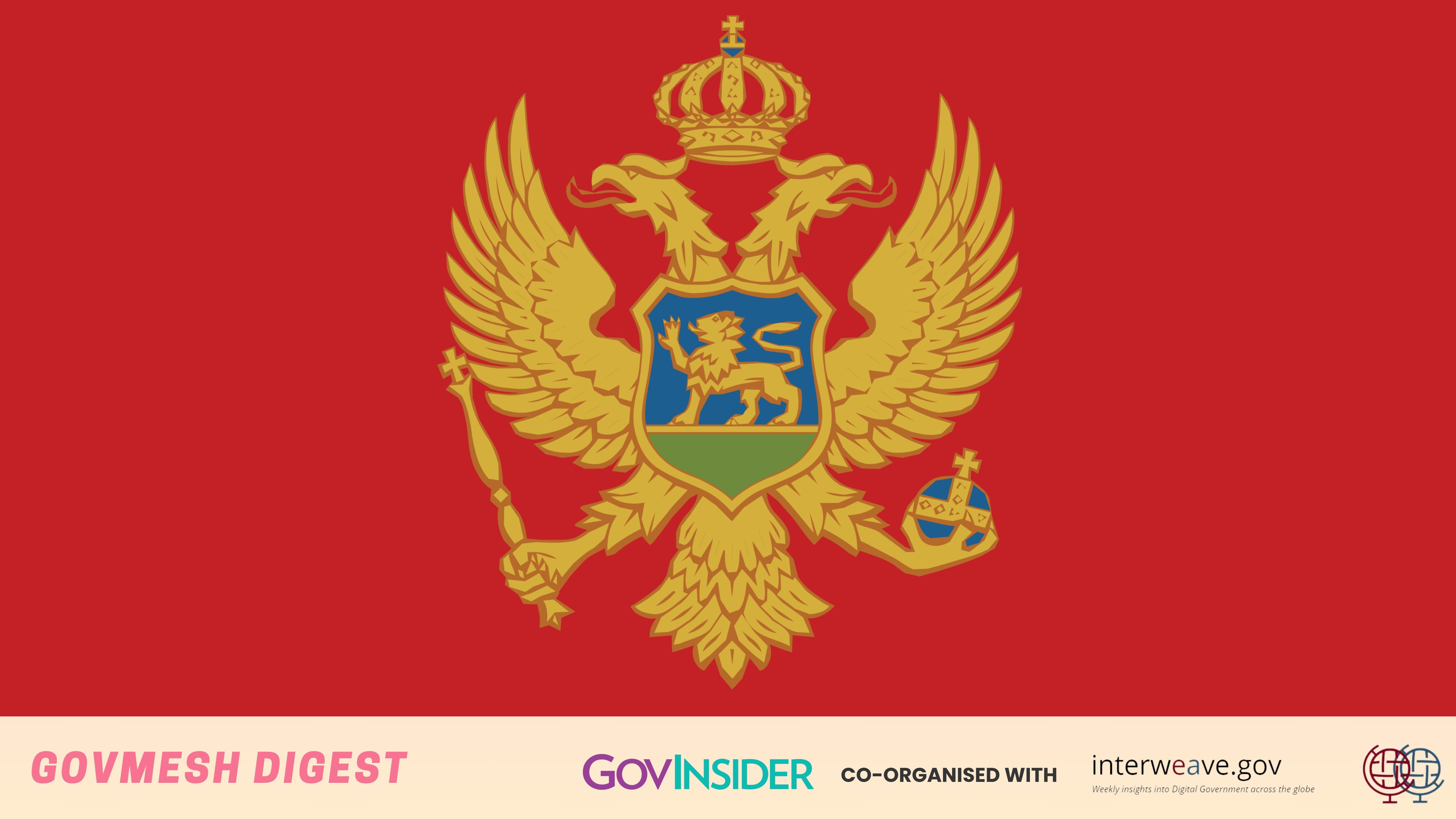 GovMesh social banner.jpg